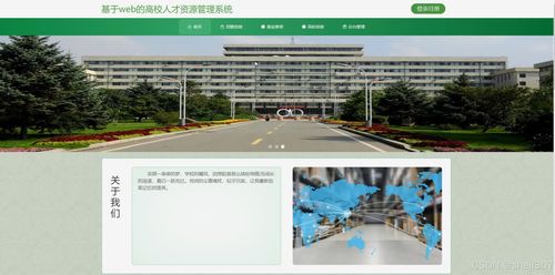 java vue計(jì)算機(jī)畢設(shè)基于web的高校人才資源管理系統(tǒng)