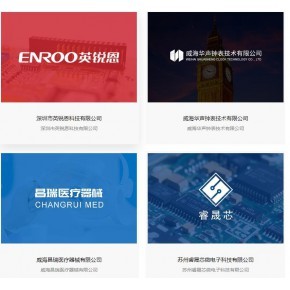 青島網站建設網站設計網站制作北極之光視覺