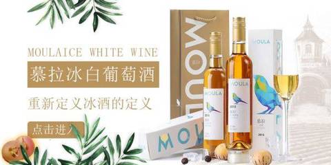 青島路易圣堡葡萄酒業海洋網絡簽訂網站設計合作協定